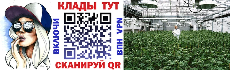 Купить наркотики Куйбышев Каннабис Псилоцибиновые грибы ГАШИШ Меф мяу мяу Кокаин
