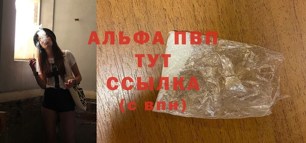 индика Аркадак
