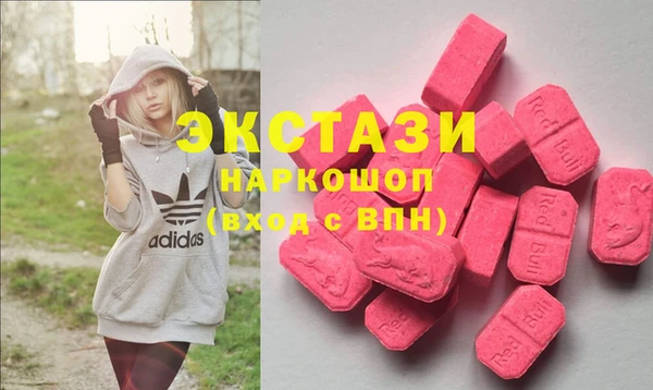 индика Аркадак