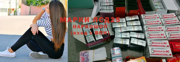 индика Аркадак